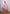 Butterfly Fly Away Coat- Satin Mat Pink